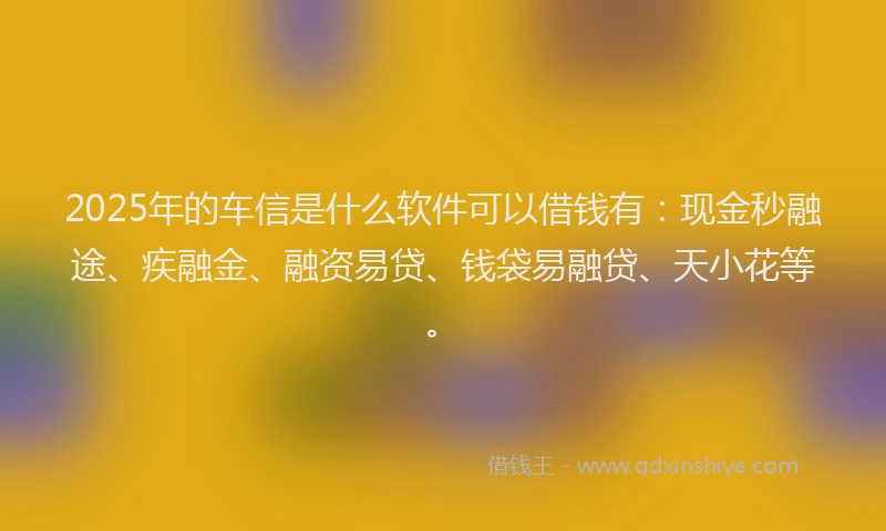 2025年的车信是什么软件可以借钱有：现金秒融途、疾融金、融资易贷、钱袋易融贷、天小花等。
