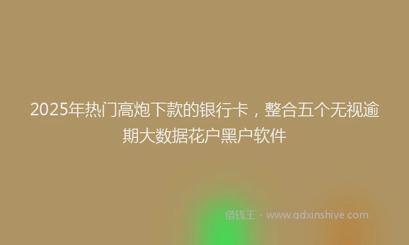 2025年热门高炮下款的银行卡，整合五个无视逾期大数据花户黑户软件