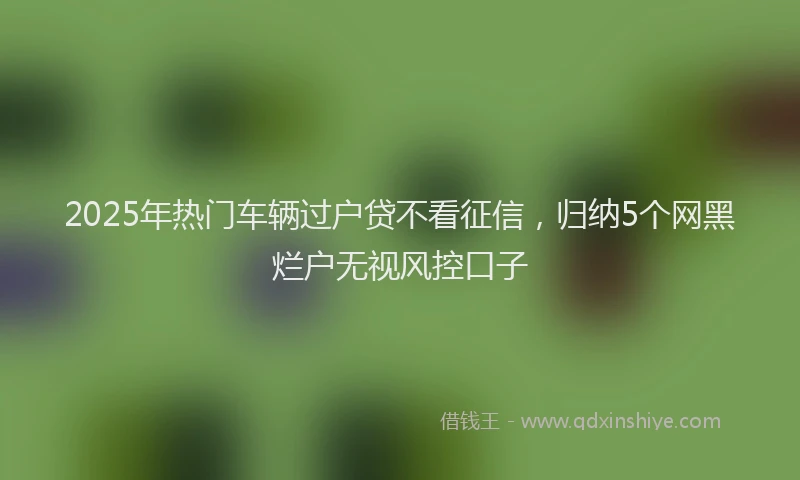 2025年热门车辆过户贷不看征信,归纳5个网黑烂户无视风控口子