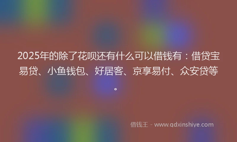 2025年的除了花呗还有什么可以借钱有：借贷宝易贷、小鱼钱包、好居客、京享易付、众安贷等。