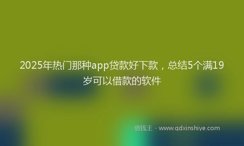 2025年热门那种app贷款好下款，总结5个满19岁可以借款的软件
