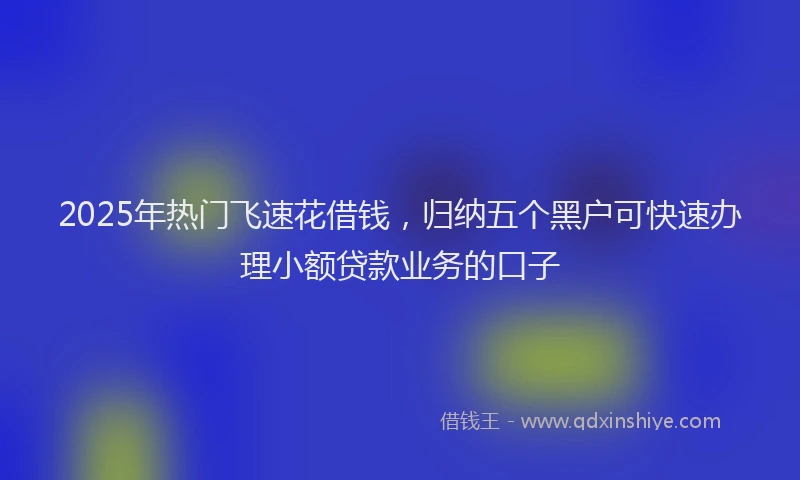 2025年热门飞速花借钱，归纳五个黑户可快速办理小额贷款业务的口子