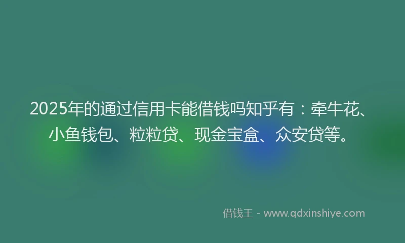 2025年的通过信用卡能借钱吗知乎有:牵牛花、小鱼钱包、粒粒贷、现金宝盒、众安贷等。