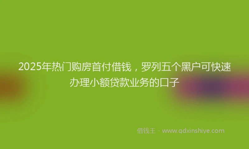 2025年热门购房首付借钱，罗列五个黑户可快速办理小额贷款业务的口子