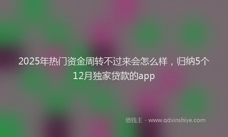 2025年热门资金周转不过来会怎么样，归纳5个12月独家贷款的app