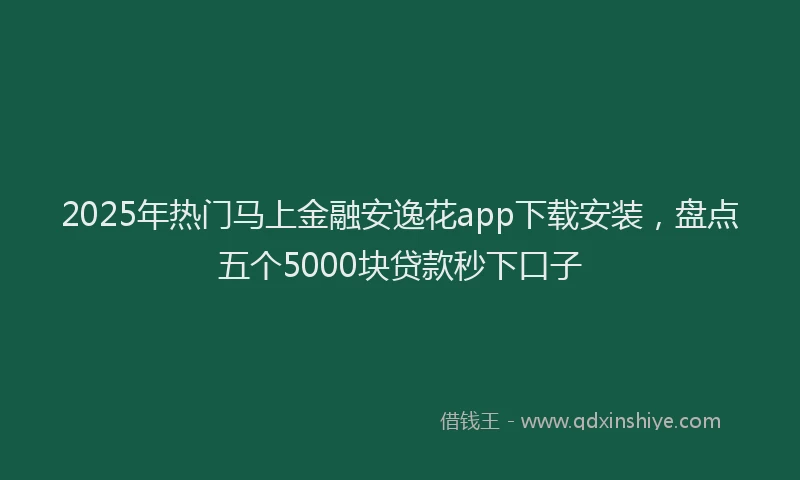 2025年热门马上金融安逸花app下载安装,盘点五个5000块贷款秒下口子