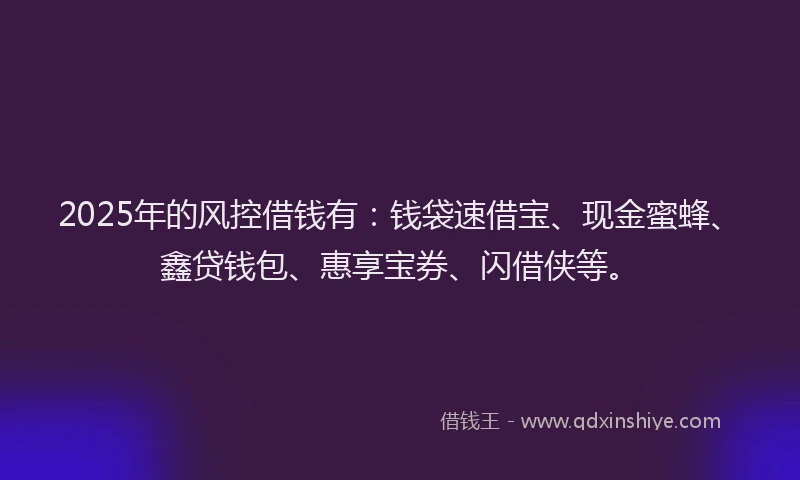 2025年的风控借钱有：钱袋速借宝、现金蜜蜂、鑫贷钱包、惠享宝券、闪借侠等。