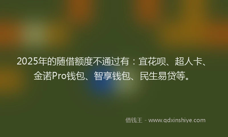 2025年的随借额度不通过有：宜花呗、超人卡、金诺Pro钱包、智享钱包、民生易贷等。