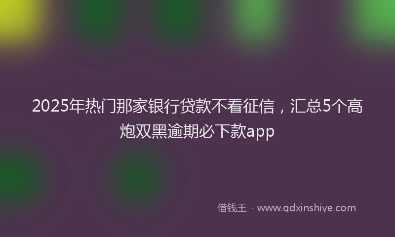 2025年热门那家银行贷款不看征信，汇总5个高炮双黑逾期必下款app
