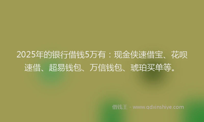2025年的银行借钱5万有:现金侠速借宝、花呗速借、超易钱包、万信钱包、琥珀买单等。