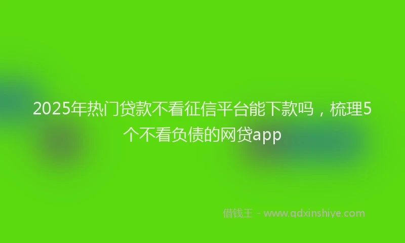 2025年热门贷款不看征信平台能下款吗,梳理5个不看负债的网贷app