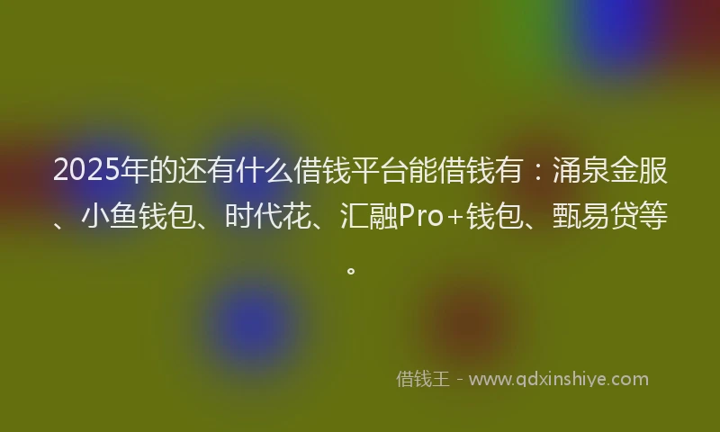 2025年的还有什么借钱平台能借钱有：涌泉金服、小鱼钱包、时代花、汇融Pro+钱包、甄易贷等。