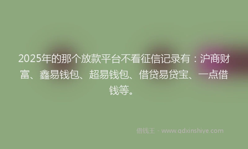 2025年的那个放款平台不看征信记录有：沪商财富、鑫易钱包、超易钱包、借贷易贷宝、一点借钱等。
