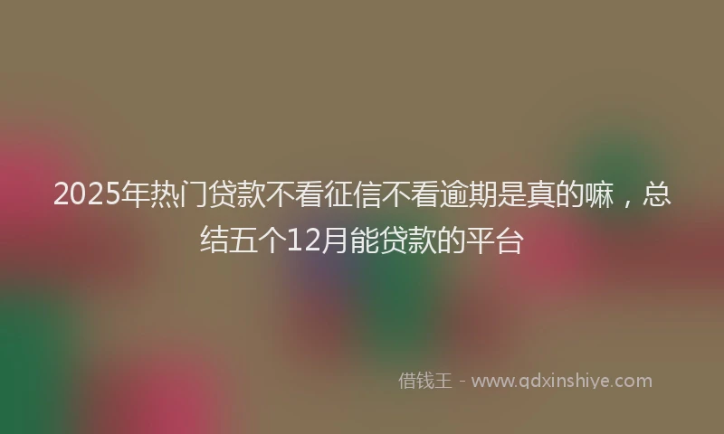 2025年热门贷款不看征信不看逾期是真的嘛,总结五个12月能贷款的平台