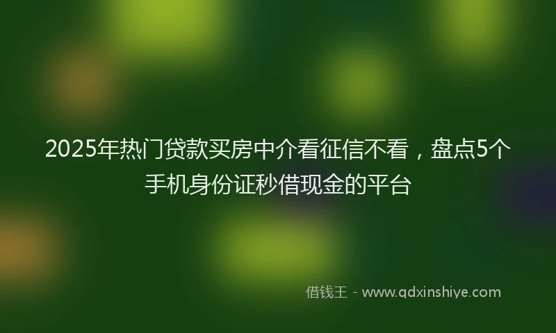 2025年热门贷款买房中介看征信不看，盘点5个手机身份证秒借现金的平台