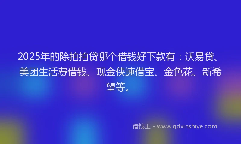 2025年的除拍拍贷哪个借钱好下款有：沃易贷、美团生活费借钱、现金侠速借宝、金色花、新希望等。