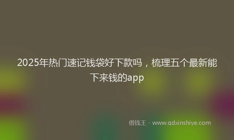 2025年热门速记钱袋好下款吗，梳理五个最新能下来钱的app