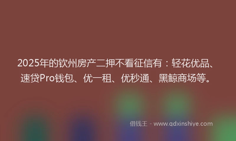 2025年的钦州房产二押不看征信有：轻花优品、速贷Pro钱包、优一租、优秒通、黑鲸商场等。