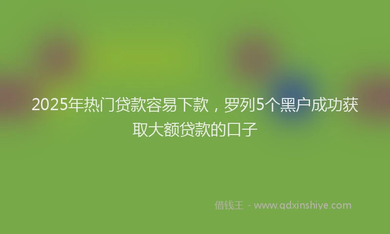 2025年热门贷款容易下款,罗列5个黑户成功获取大额贷款的口子