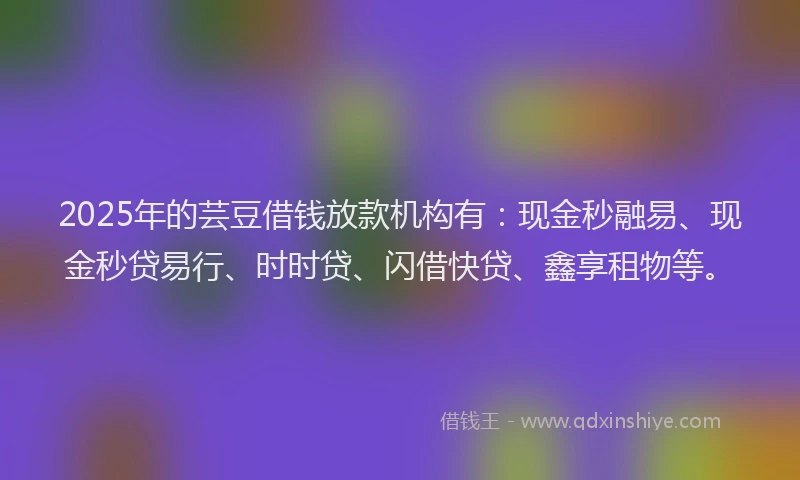 2025年的芸豆借钱放款机构有：现金秒融易、现金秒贷易行、时时贷、闪借快贷、鑫享租物等。