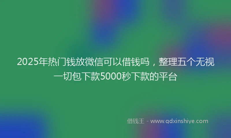 2025年热门钱放微信可以借钱吗，整理五个无视一切包下款5000秒下款的平台