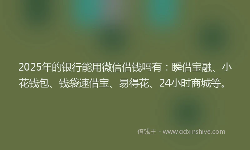 2025年的银行能用微信借钱吗有:瞬借宝融、小花钱包、钱袋速借宝、易得花、24小时商城等。
