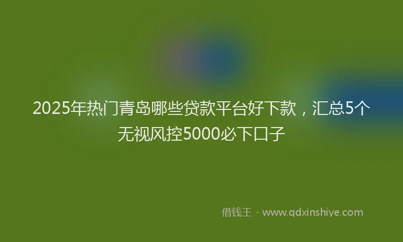 2025年热门青岛哪些贷款平台好下款,汇总5个无视风控5000必下口子