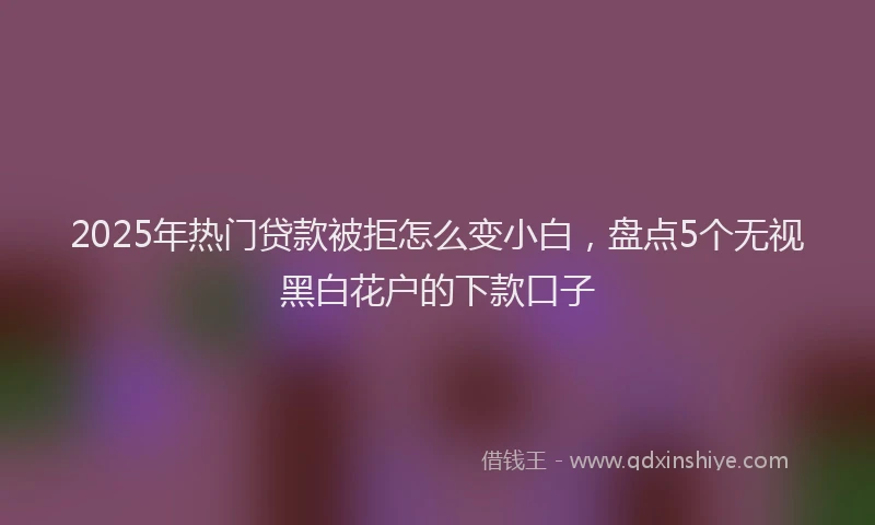 2025年热门贷款被拒怎么变小白,盘点5个无视黑白花户的下款口子