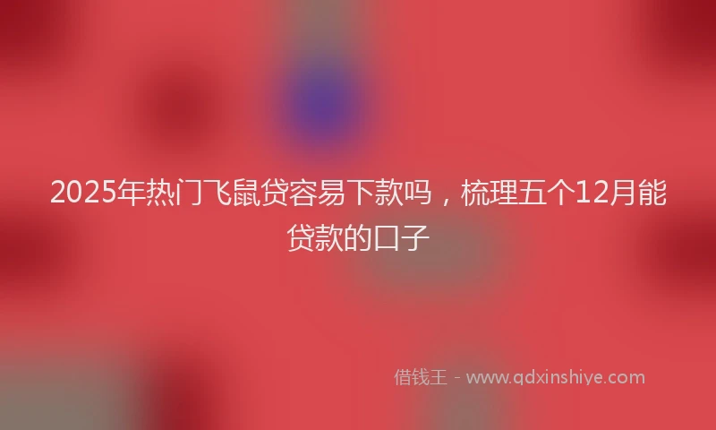 2025年热门飞鼠贷容易下款吗，梳理五个12月能贷款的口子