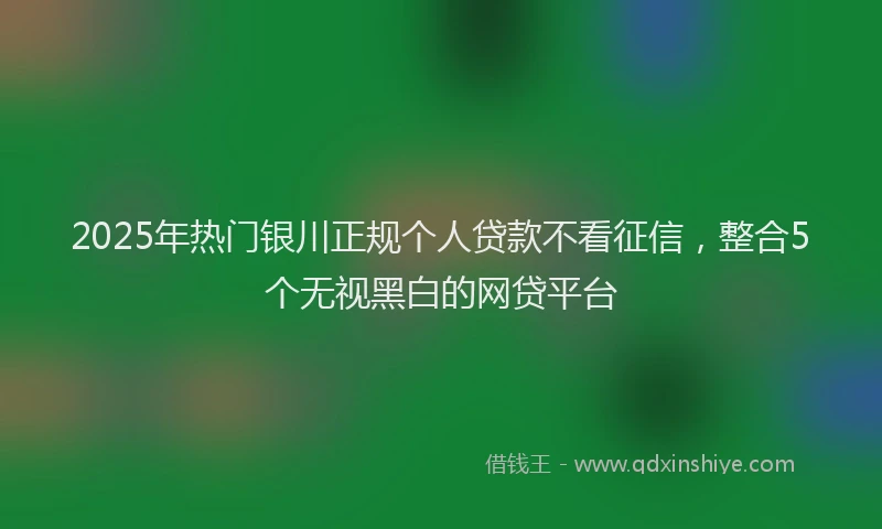 2025年热门银川正规个人贷款不看征信,整合5个无视黑白的网贷平台