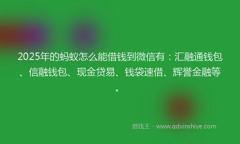 2025年的蚂蚁怎么能借钱到微信有：汇融通钱包、信融钱包、现金贷易、钱袋速借、辉誉金融等。