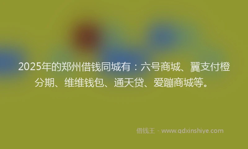 2025年的郑州借钱同城有:六号商城、翼支付橙分期、维维钱包、通天贷、爱蹦商城等。