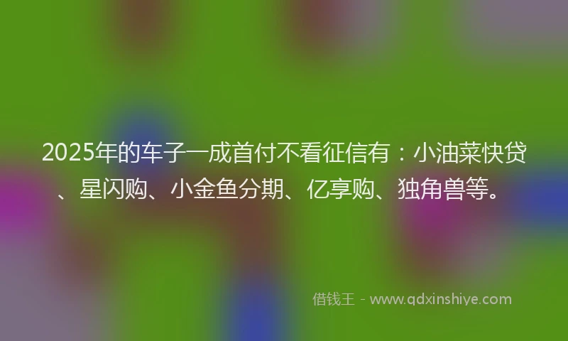 2025年的车子一成首付不看征信有:小油菜快贷、星闪购、小金鱼分期、亿享购、独角兽等。