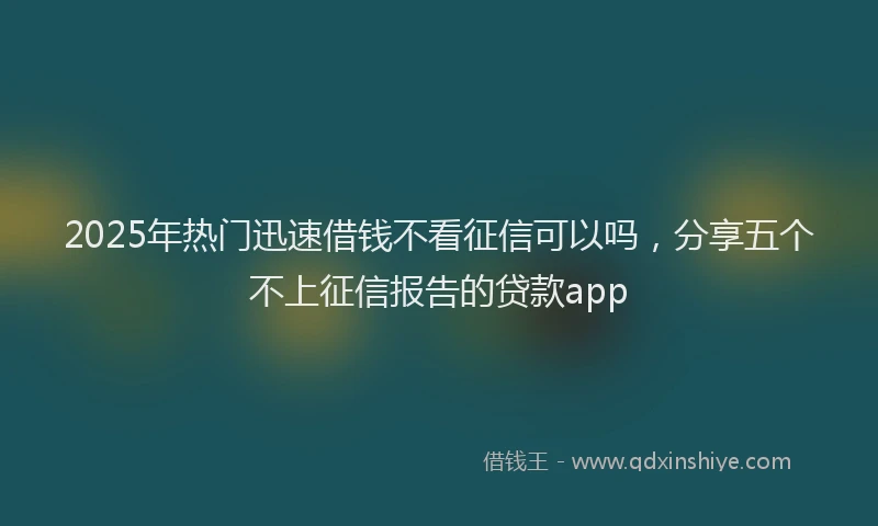 2025年热门迅速借钱不看征信可以吗,分享五个不上征信报告的贷款app