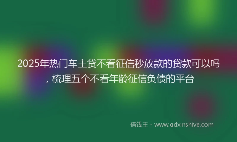 2025年热门车主贷不看征信秒放款的贷款可以吗,梳理五个不看年龄征信负债的平台