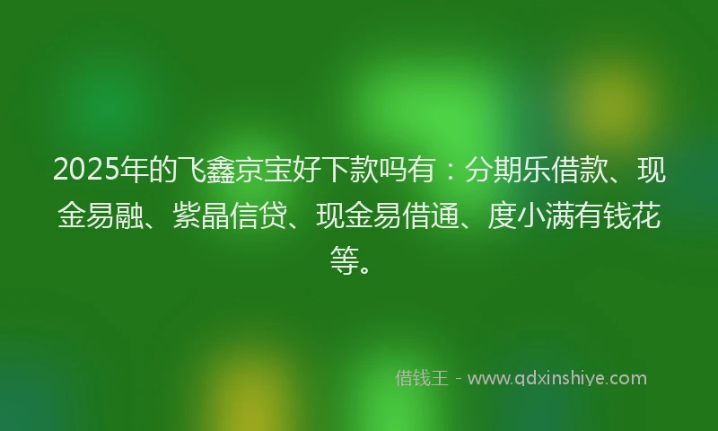 2025年的飞鑫京宝好下款吗有:分期乐借款、现金易融、紫晶信贷、现金易借通、度小满有钱花等。