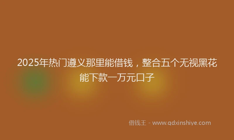 2025年热门遵义那里能借钱,整合五个无视黑花能下款一万元口子