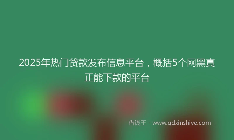 2025年热门贷款发布信息平台,概括5个网黑真正能下款的平台