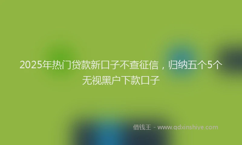 2025年热门贷款新口子不查征信,归纳五个5个无视黑户下款口子