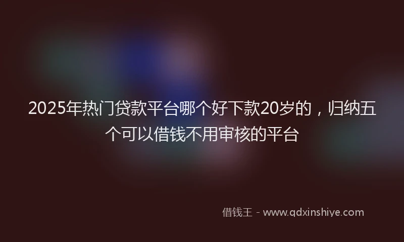2025年热门贷款平台哪个好下款20岁的,归纳五个可以借钱不用审核的平台