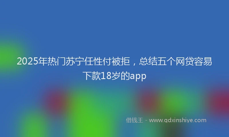 2025年热门苏宁任性付被拒,总结五个网贷容易下款18岁的app