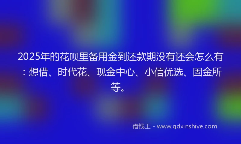 2025年的花呗里备用金到还款期没有还会怎么有：想借、时代花、现金中心、小信优选、固金所等。