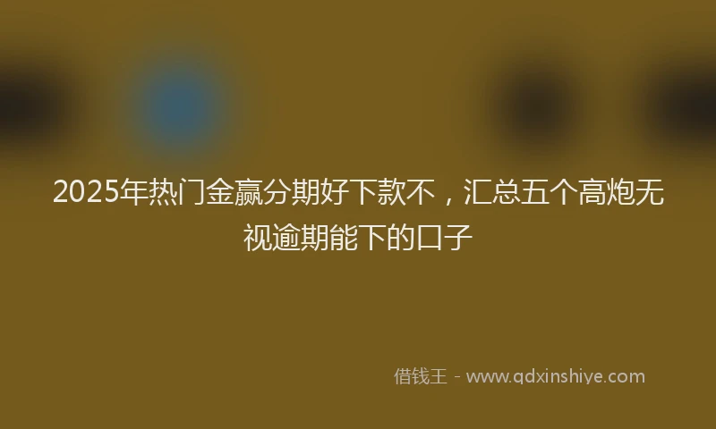 2025年热门金赢分期好下款不,汇总五个高炮无视逾期能下的口子
