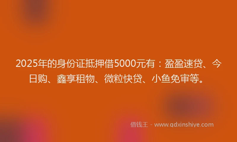2025年的身份证抵押借5000元有：盈盈速贷、今日购、鑫享租物、微粒快贷、小鱼免审等。