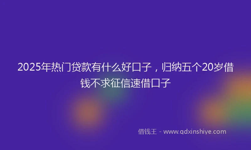 2025年热门贷款有什么好口子,归纳五个20岁借钱不求征信速借口子