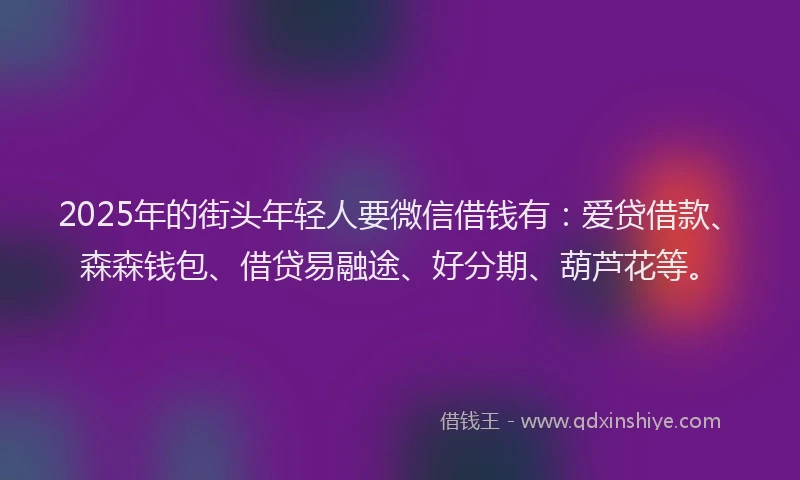 2025年的街头年轻人要微信借钱有：爱贷借款、森森钱包、借贷易融途、好分期、葫芦花等。