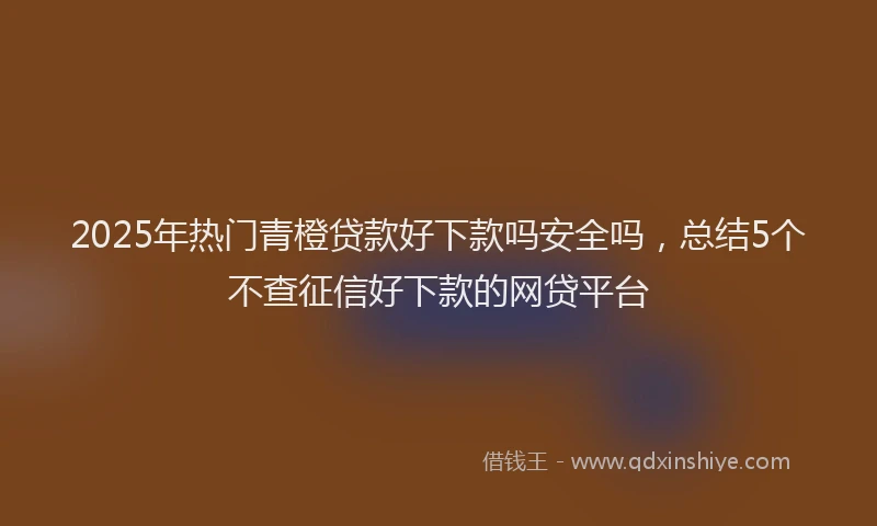 2025年热门青橙贷款好下款吗安全吗，总结5个不查征信好下款的网贷平台