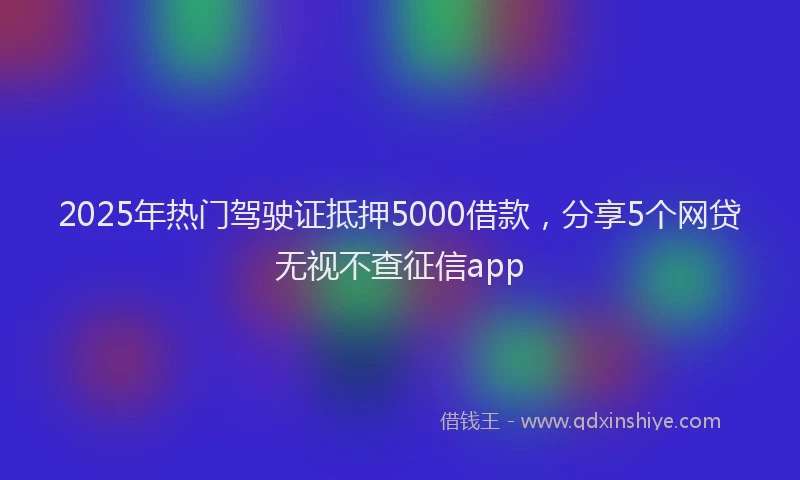 2025年热门驾驶证抵押5000借款,分享5个网贷无视不查征信app