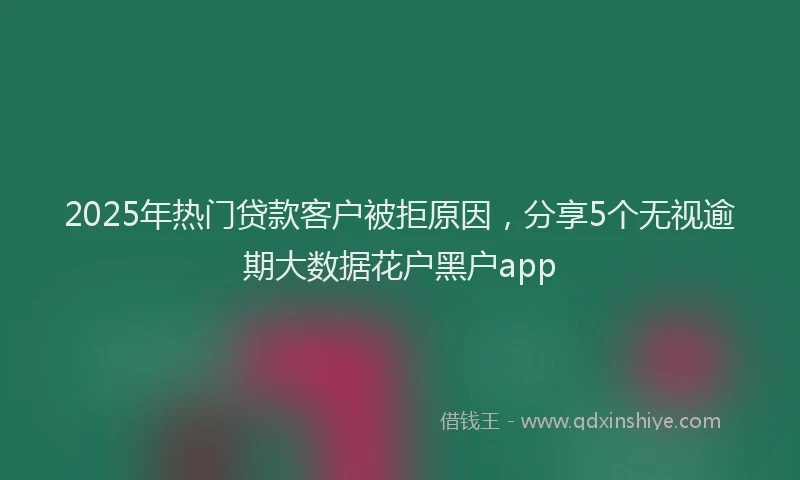 2025年热门贷款客户被拒原因,分享5个无视逾期大数据花户黑户app