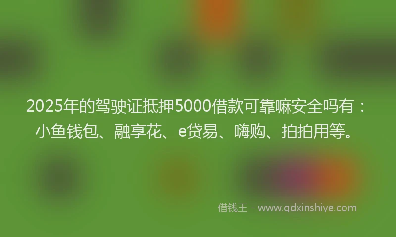 2025年的驾驶证抵押5000借款可靠嘛安全吗有：小鱼钱包、融享花、e贷易、嗨购、拍拍用等。